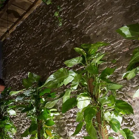 Le Boutique Luxury Diffused In Historic Center Fiumicino