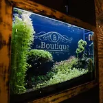 Le Boutique Luxury Diffused In Historical Center Gæstehus 4*
