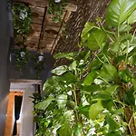 Le Boutique Luxury Diffused In Historical Center Gæstehus 4*