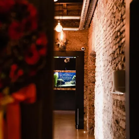 Le Boutique Luxury Diffused In Historic Center *