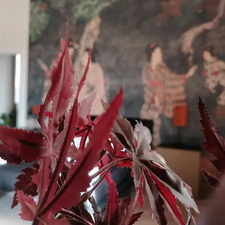 Le Boutique Luxury Diffused In Historic Center Φιουμιτσίνο