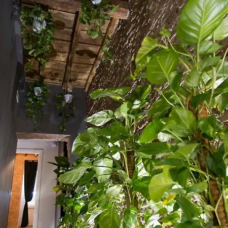 Le Boutique Luxury Diffused In Historical Center Pensjonat 4*