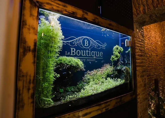 Le Boutique Luxury Diffused In Historical Center Guest house 4*