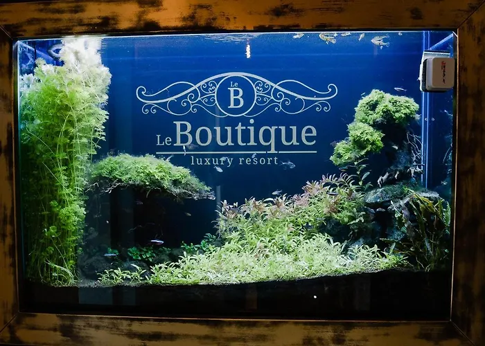 Le Boutique Luxury Diffused In Historical Center Fiumicino