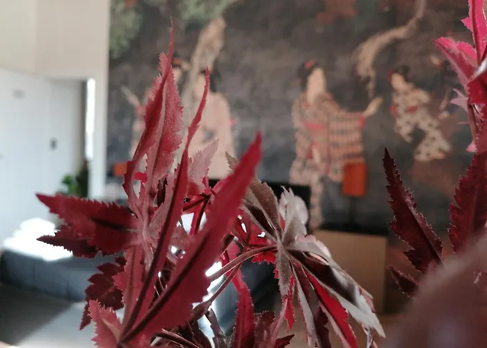 Le Boutique Luxury Diffused In Historical Center Fiumicino