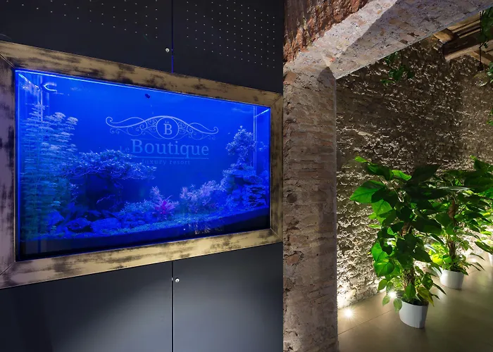Le Boutique Luxury Diffused In Historical Center 4* Fiumicino
