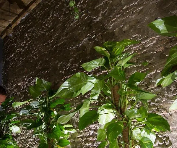 Le Boutique Luxury Diffused In Historical Center Fiumicino