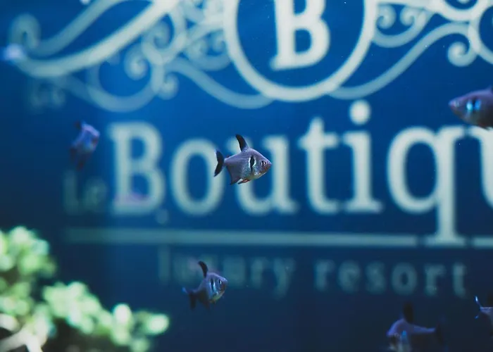 Le Boutique Luxury Diffused In Historical Center Guest house