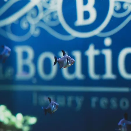 Le Boutique Luxury Diffused In Historic Center Penzion